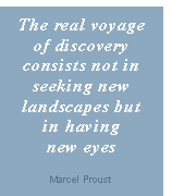 The real voyage of discovery consists not in seeking new landscapes but in having new eyes